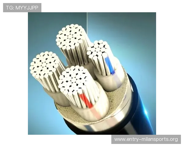 奇发体育运动装备的材质选择与技术创新带来的性能提升详尽解析